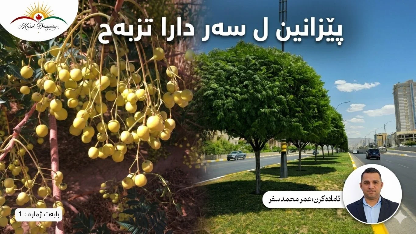 پێزانین ل سەر دارا تزبەح