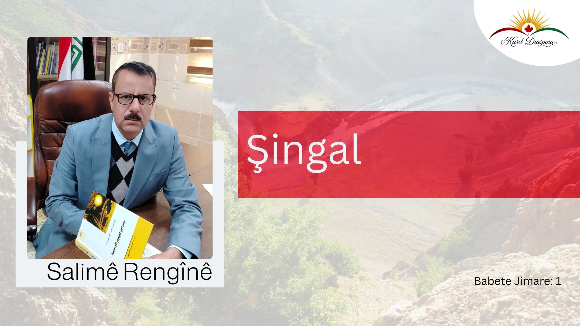 Şingal : Salimê Rengînê
