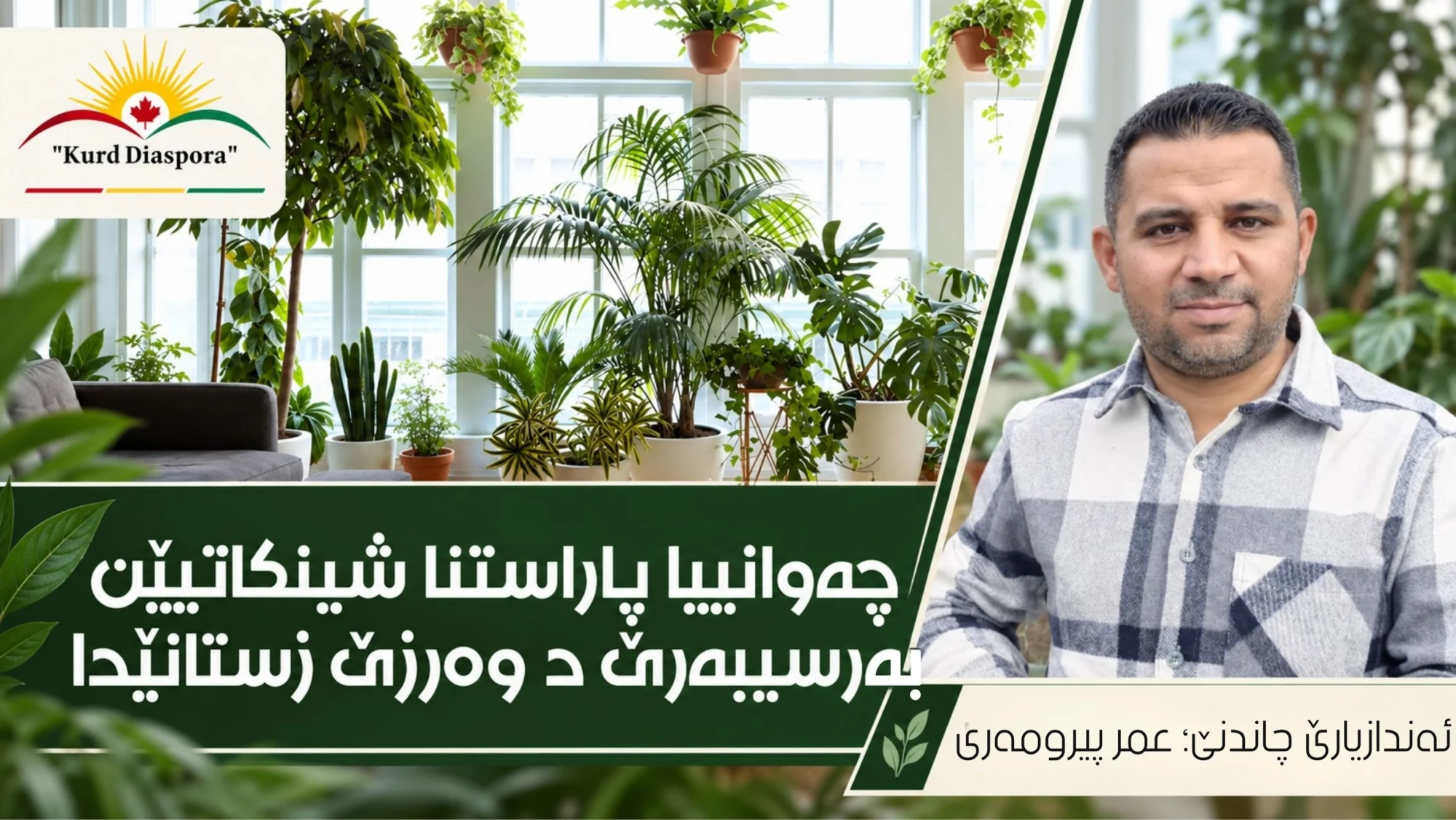 چەوانییا پاراستنا شینکاتیێن بەرسیبەرێ د وەرزێ زستانێدا