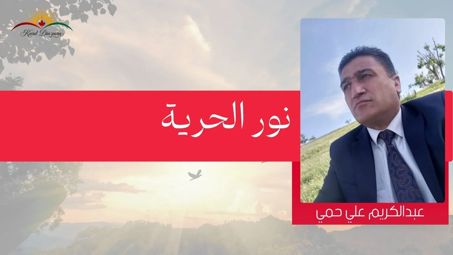 نور الحرية
